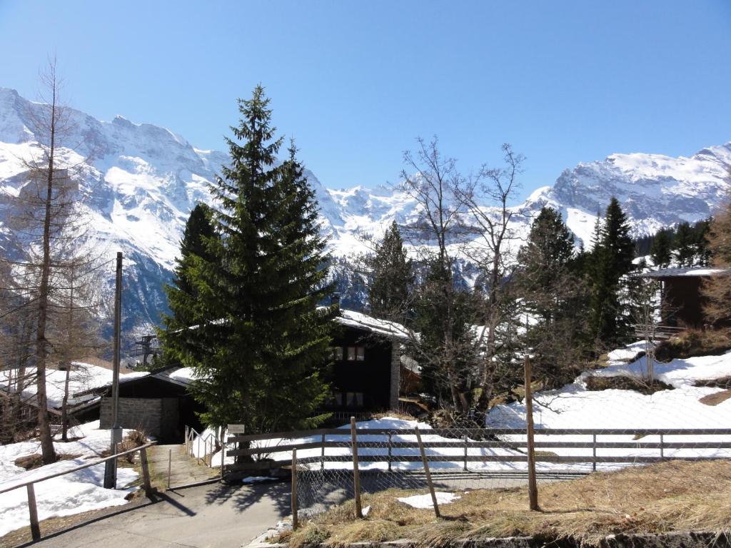 Chalet Schoenbuehl Мюррен Екстер'єр фото