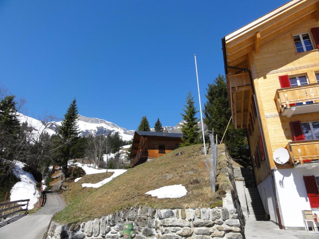 Chalet Schoenbuehl Мюррен Екстер'єр фото