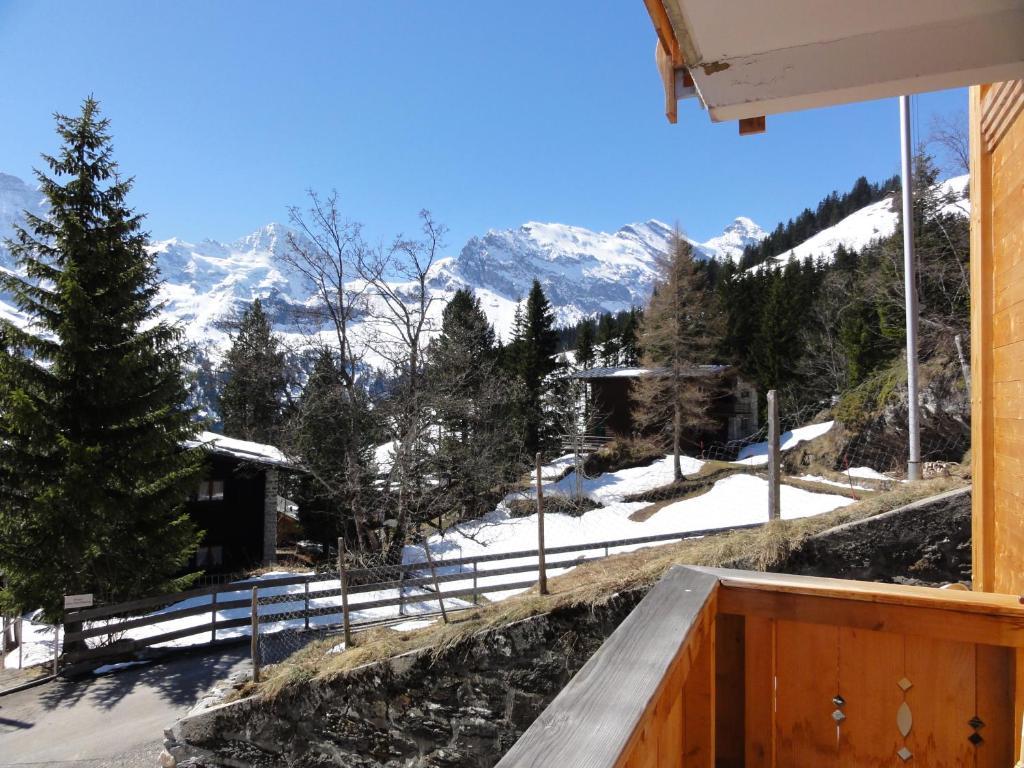 Chalet Schoenbuehl Мюррен Екстер'єр фото